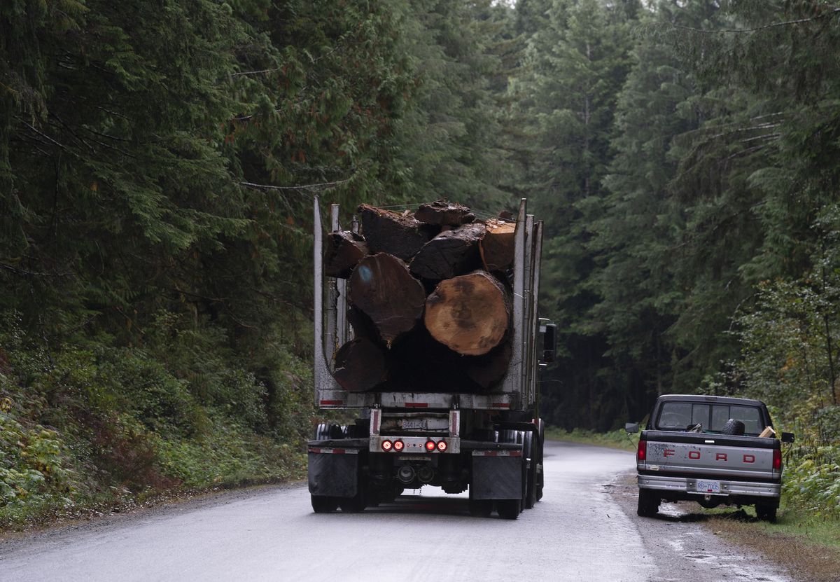 British Columbia wil een derde van zijn oude houtkapactiviteiten opschorten