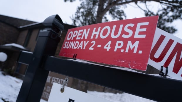 Kan een nieuwe belasting op huizen van $ 1 miljoen en meer helpen om de huisvestingscrisis in Canada op te lossen?