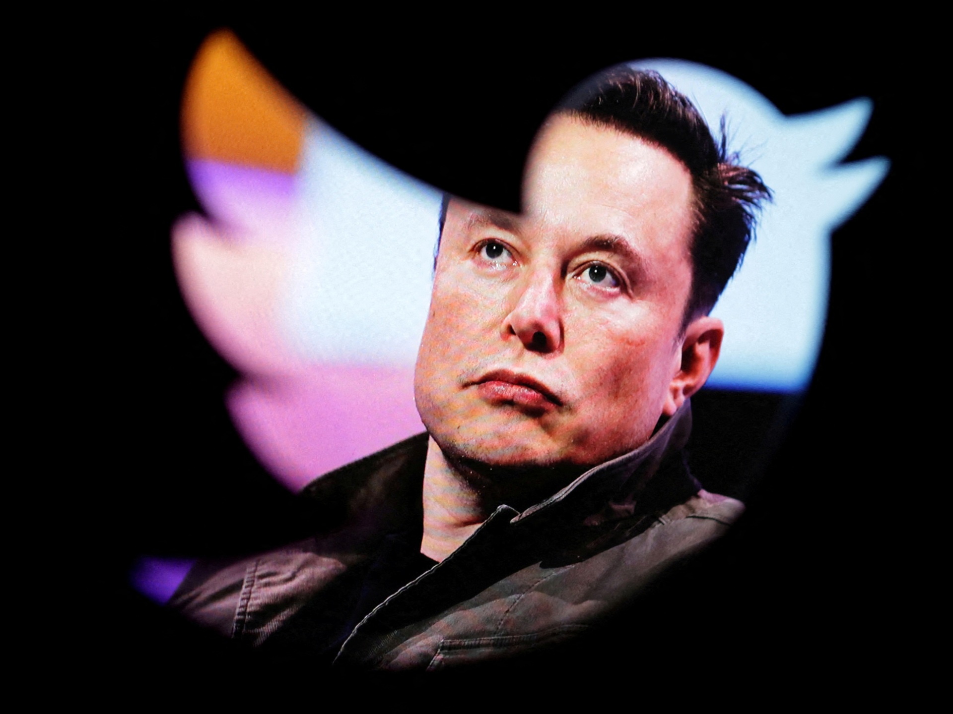 Elon Musk ontsloeg het bestuur van Twitter en maakte zichzelf de enige directeur |  Zaken en economie