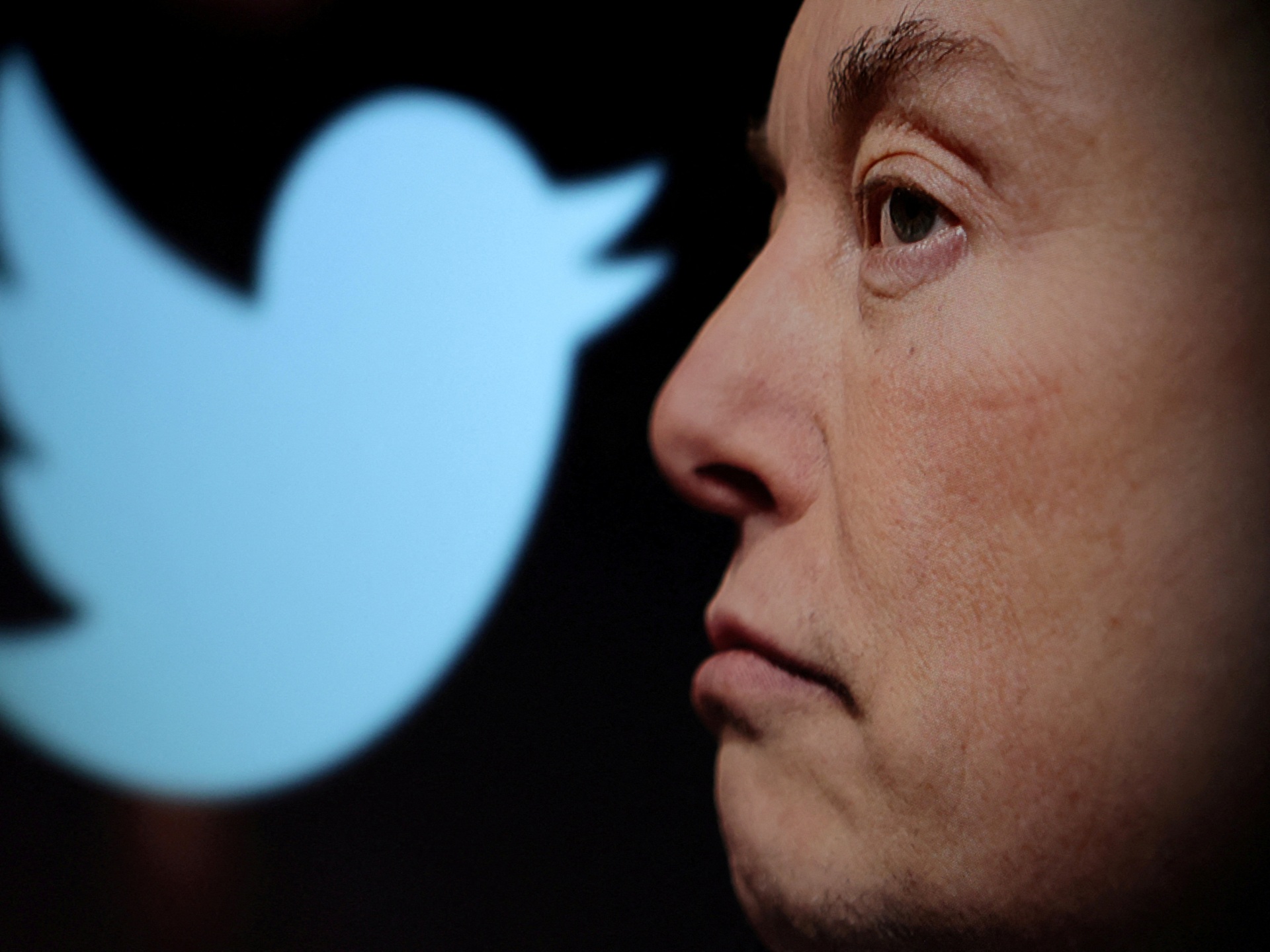 Musk wil vanaf maandag vinkje op Twitter forceren: | .rapporten  Technologie nieuws