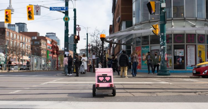 Robots voor voedselbezorging hebben de Canadese trottoirs geraakt, maar er zijn wegversperringen