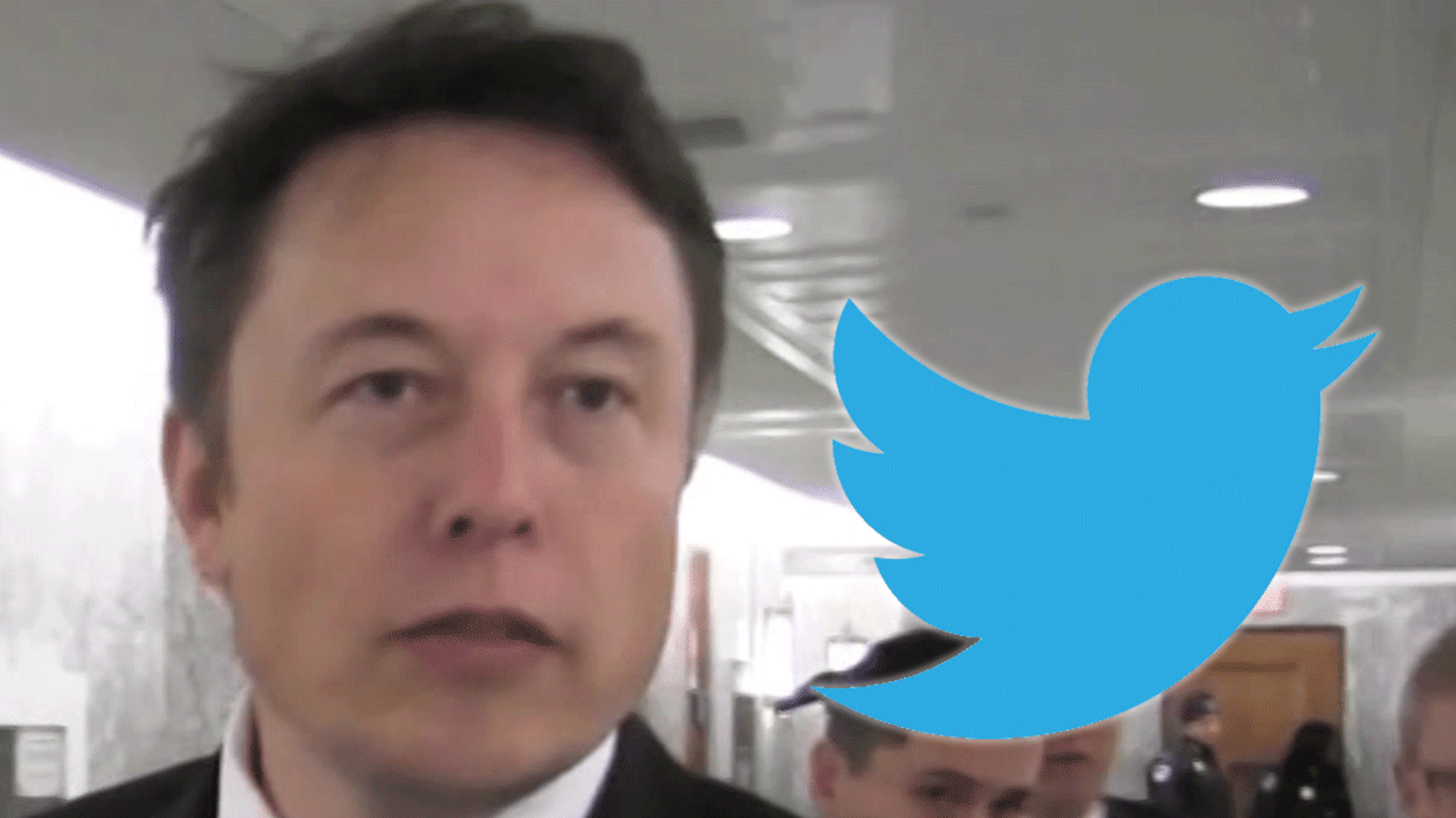 Elon Musk dreigt Twitter-medewerkers aan te klagen die geheimhoudingsovereenkomsten schenden te midden van de lekken